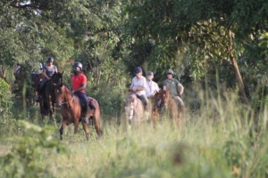 Horseback riders in forest