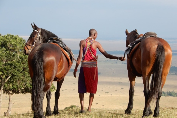 Massai man with two horses