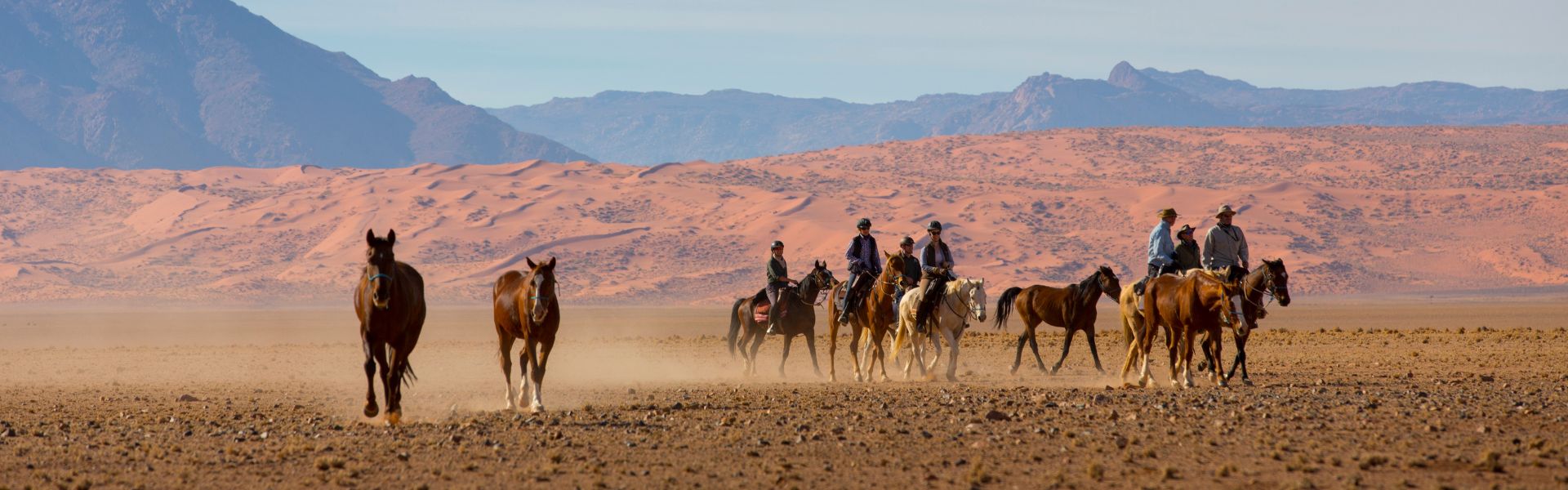 african horse safaris llc