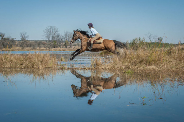 Horse jumping over water