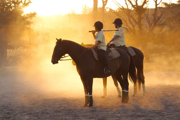 Polo players in dusk light