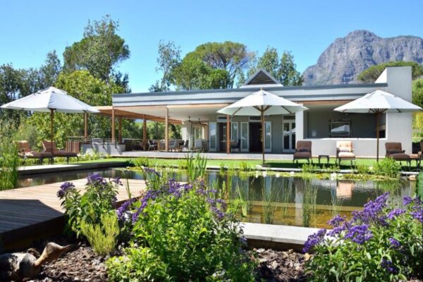 Horse riding Cape Winelands Angala Boutique Hotel Horse riding Cape Winelands Angala Boutique Hotel