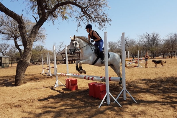 Jumping lessons