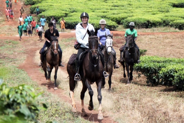 Horses galloping through the Ugandan farmlands