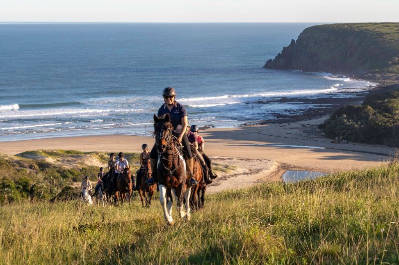 riding safari south africa