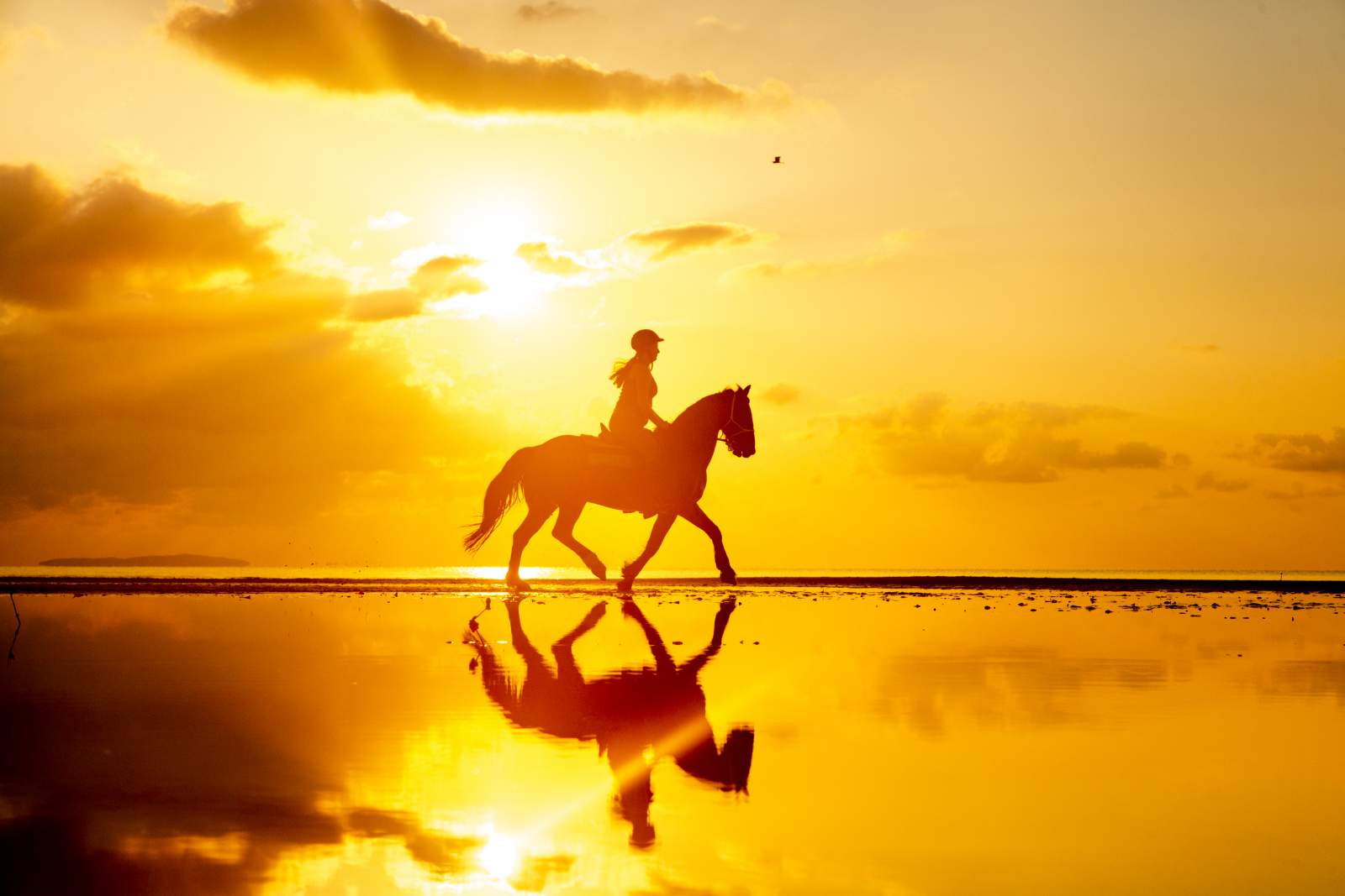Horse rider with reflection on water at orange sunset