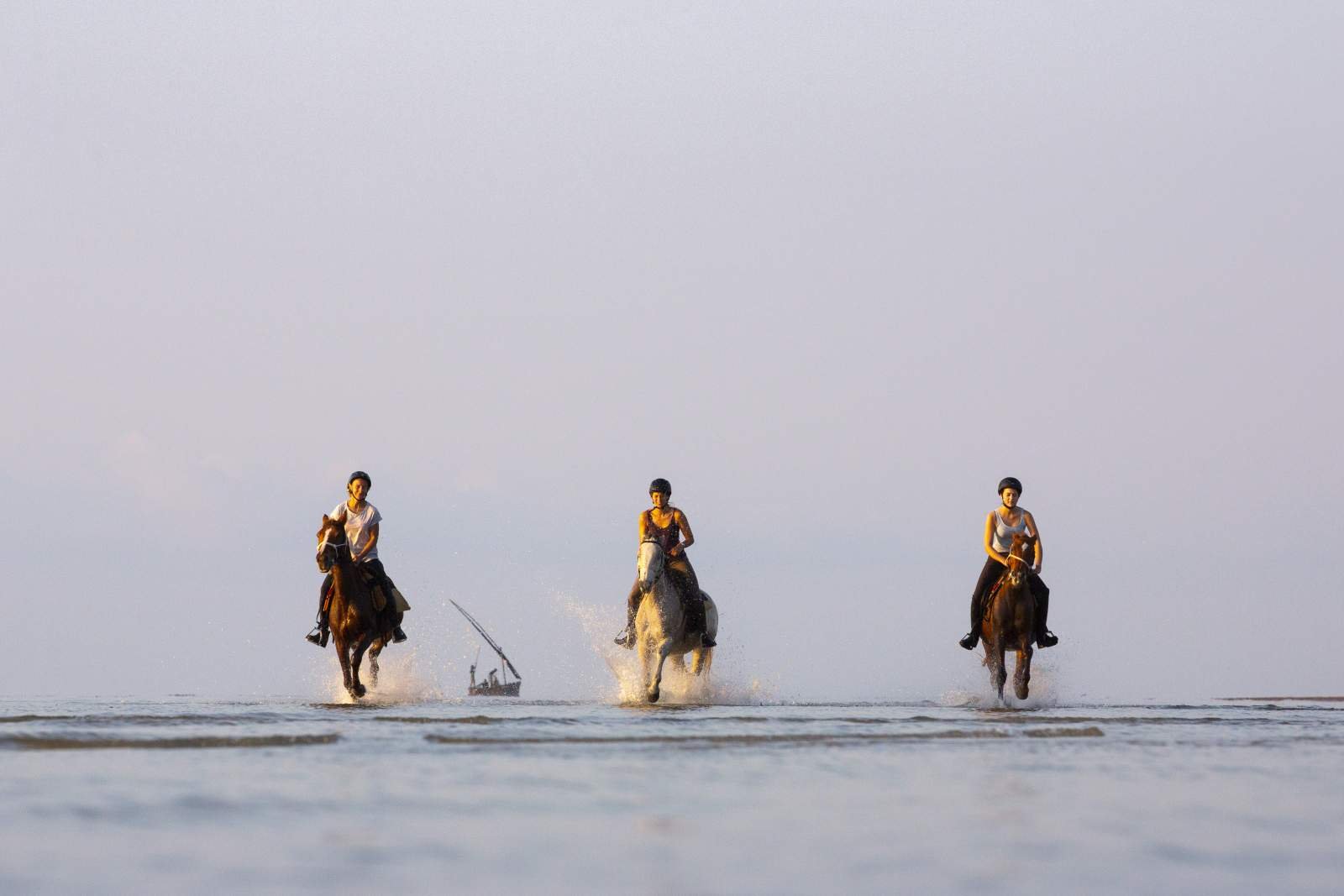 Three horses galloping in water
