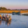 Horse safari with elephant in the Okavango Delta at Macatoo Lodge