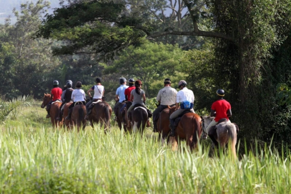 Group of horse riders walking through long grasses before entering the Ugandan Rain Forests