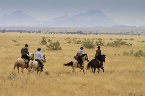 Endless grasslands