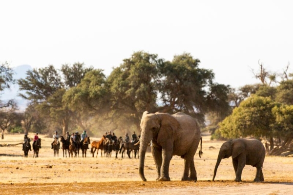 Nambia Horse Safaris - Damaraland (26)