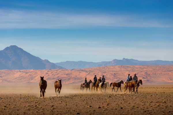 Nambia Horse Safaris - Wild Horses (14)
