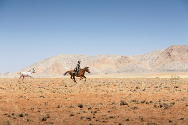 Namibia Horse Safaris - Namib Desert (21)