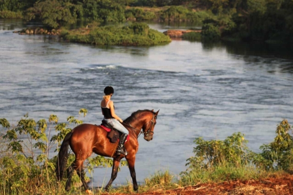 Woman riding bay horse along the Nile River