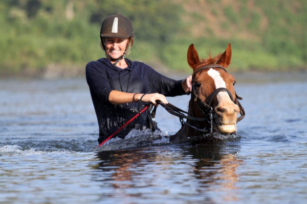 Smiling Horse swimming in River Nile