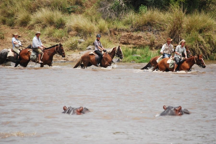 Horseback safari crossing river with hippos