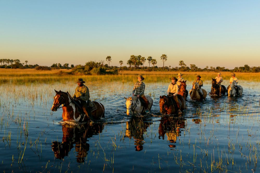 Okavango Delta Horse Riding Safari - African Horse Safaris