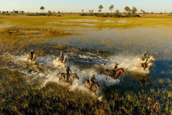 Horse safari galloping through Okavango Delta