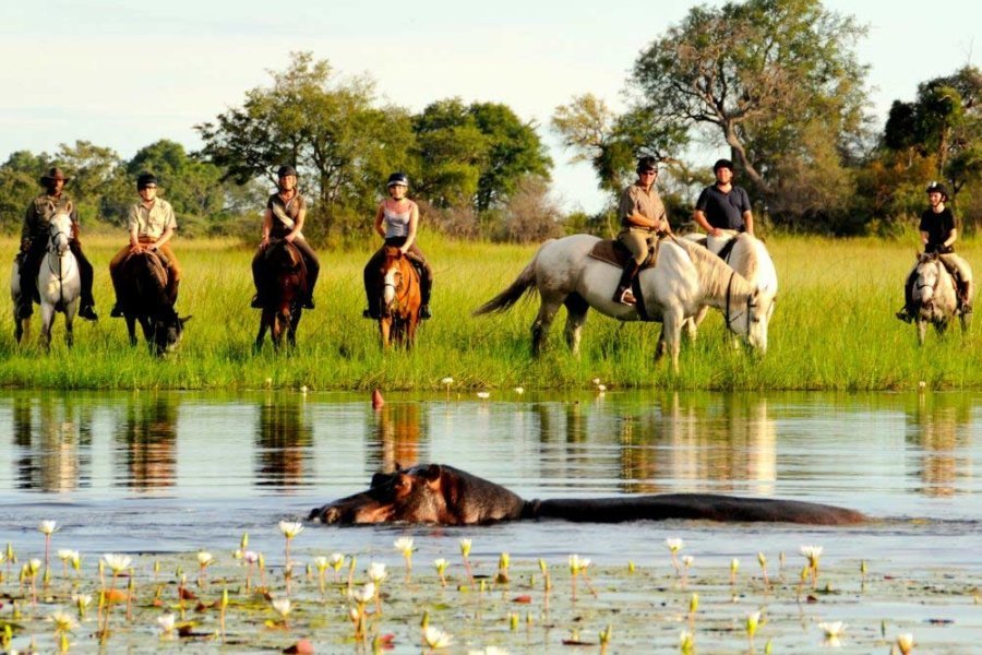 Okavango Delta horse riding with hippos