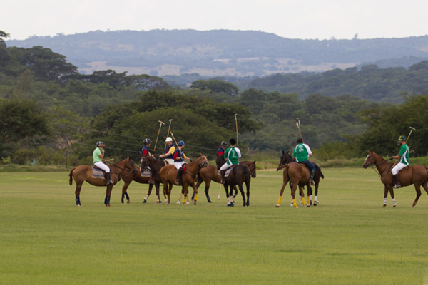 Polo for experienced and beginner riders