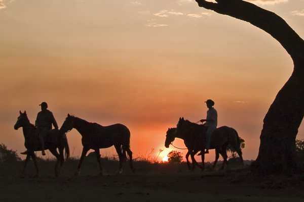 Horse riding at sunset