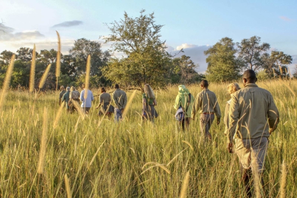 Walking safari in the Okavango Delta