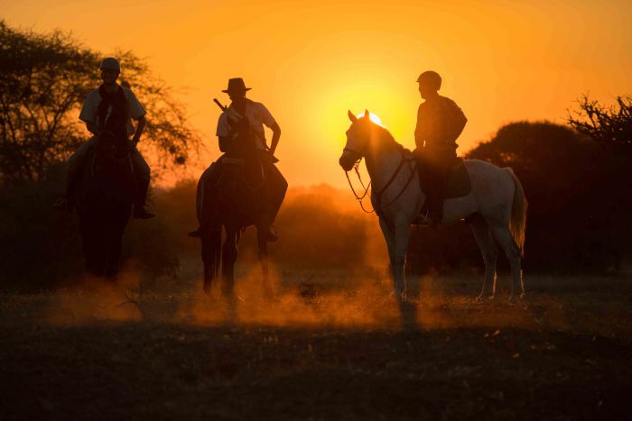 Horse Riding Holiday with African Horse Safaris