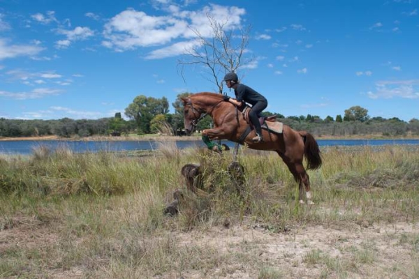 Cross country horse jumping