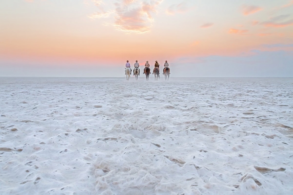 Horse riding on white salt pan with pink sky