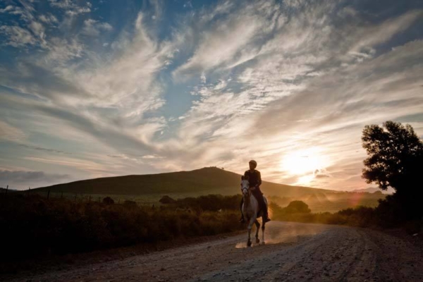 horse riding at sunset