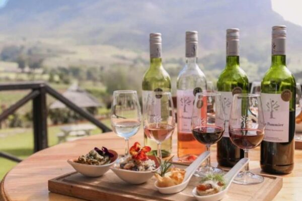 Wine Tastiing A set up for wine tasting at Cape Winelands
