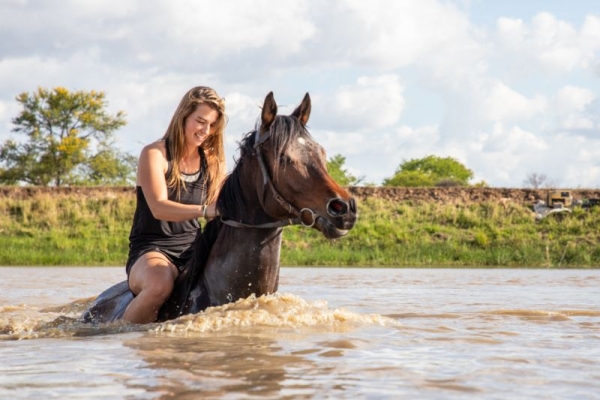 Horseback swimming in Zimbabwe