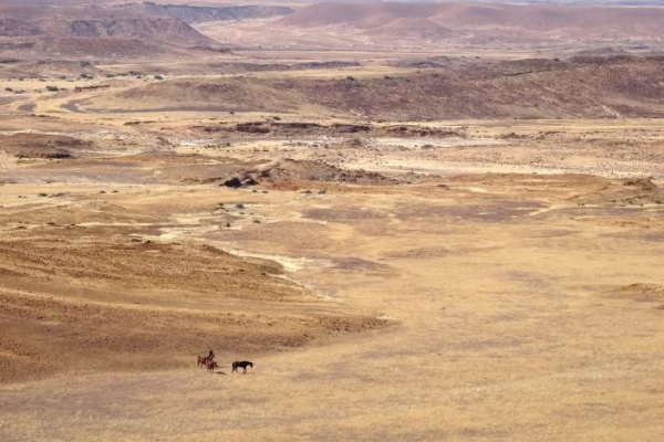 Desert Canyons Horse Ride
