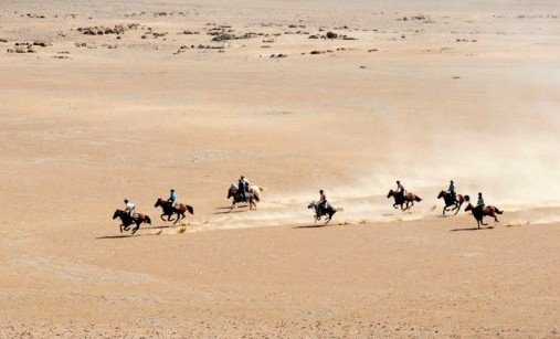 Horses running with horse riders in the middle of a desert