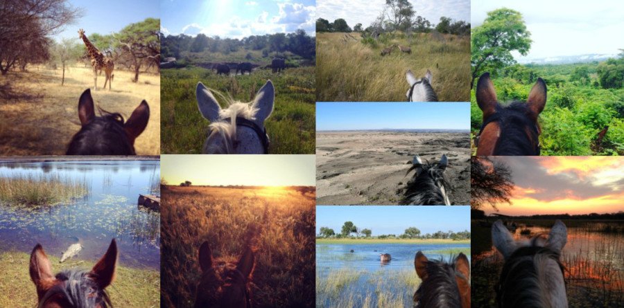 Between the Ears: Horse Riding in Africa