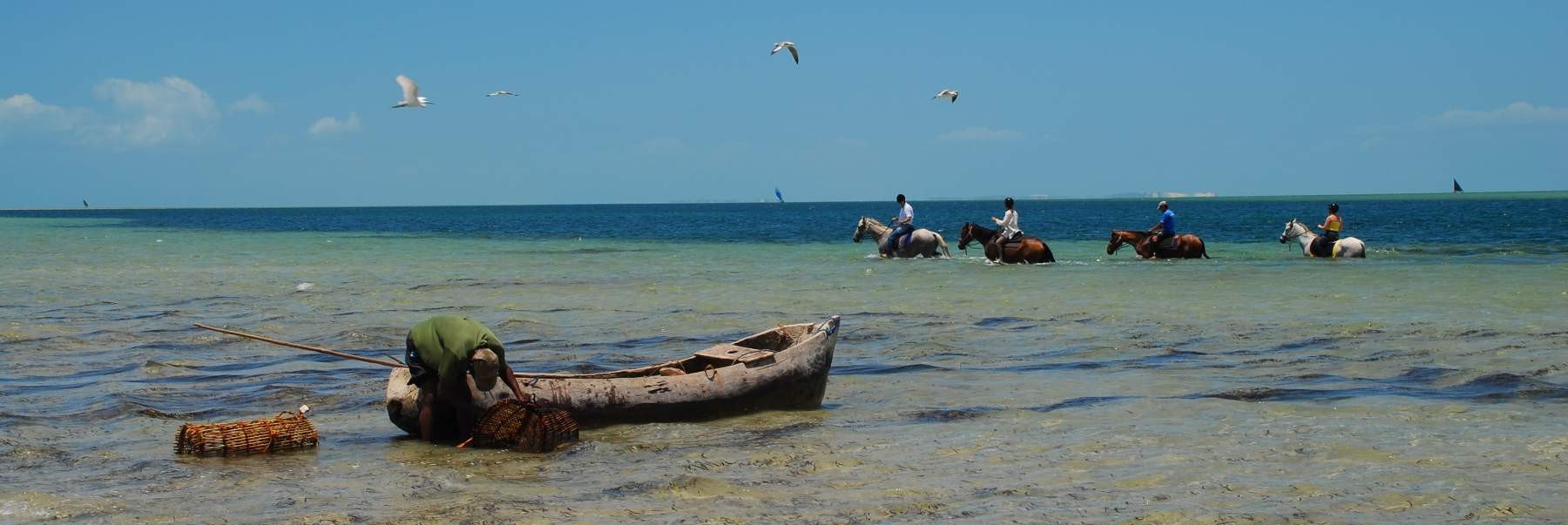10 Best Reasons to go on a Horse Riding Holiday in Africa
