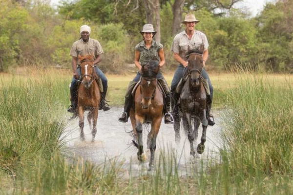 Three riders galloping in water and long grass