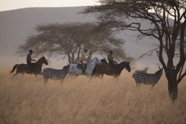 Chyulu Hills is home to a variety of wildlife including zebra