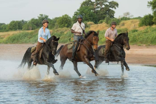 Horses galloping through water