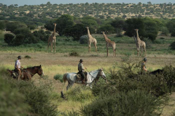 horseback safari with african horse safaris