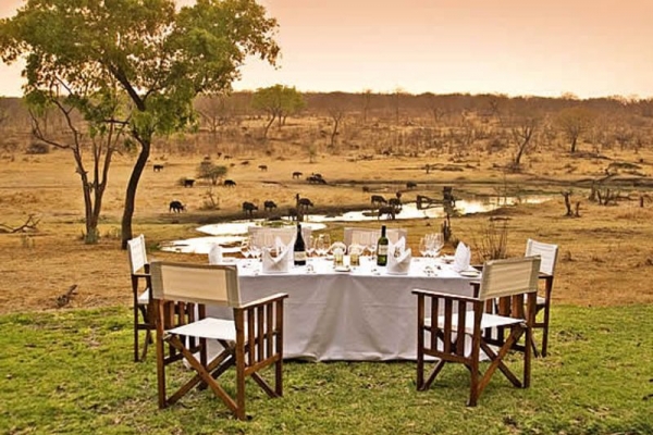 Dinner table overlooking waterhole with buffalo in Zimbabwe