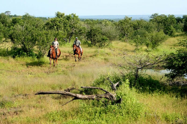 safari horse riding in Africa