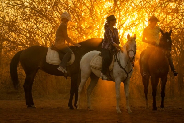Horse riders at sunset