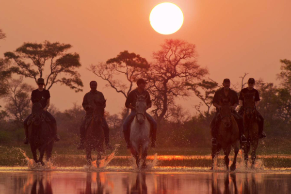 Horseback riders in water at pink sunset