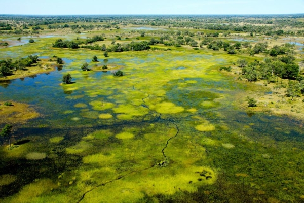 Okavango Delta Floodplains from air