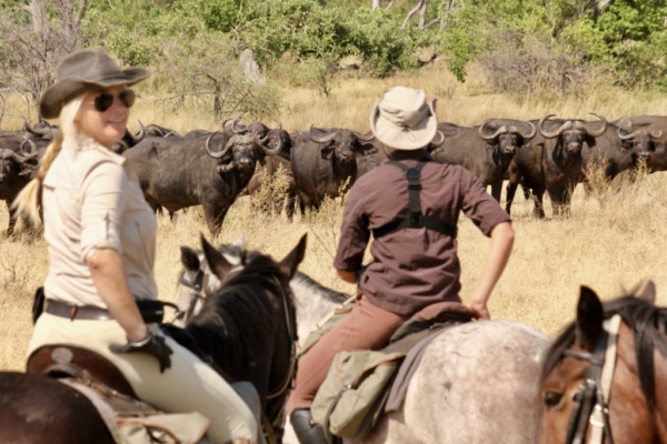 Horse riders watching buffalo herd