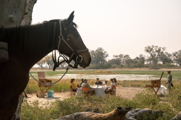 Bush lunches at Kujwana Camp in the Okavango Delta