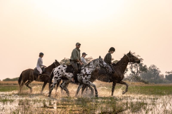 Horse riding at Kujwana Camp in the Okavango Delta