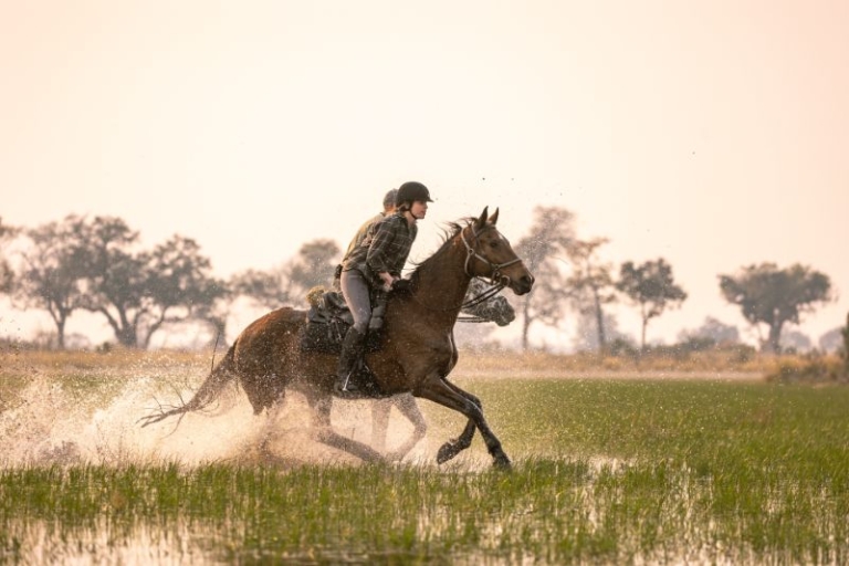 Horse Riding at Kujwana Camp in the Okavango Delta