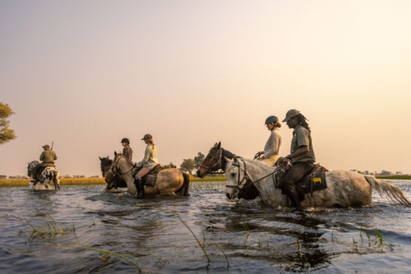Riding in the floodwaters at Kujwana Camp in the Okavango Delta